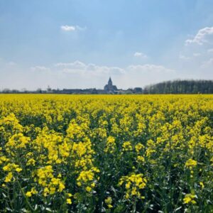 Featured author image: Grid 2 Columns + Sidebar